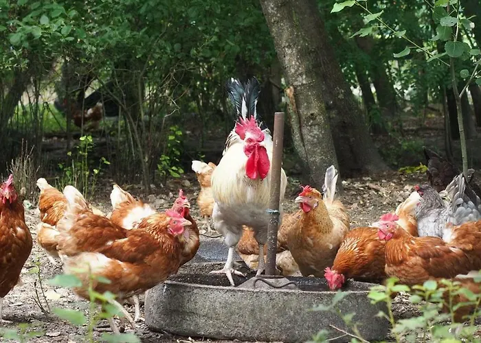 Scholbe Lejlighed Schneverdingen