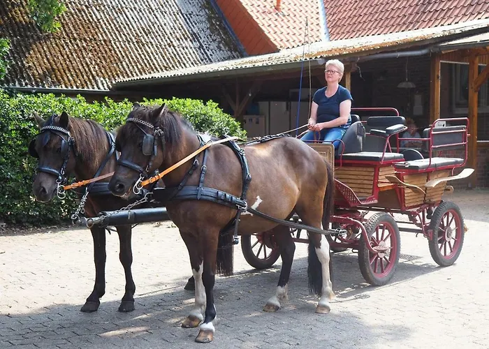 Lejlighed Scholbe Schneverdingen